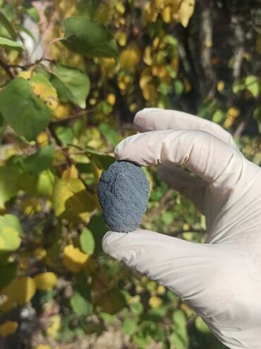 Digər kolleksiyalar: 💎 Təbii Hematit daşı😍 Qiymət👉🏻 ölçüsünə görə dəyişir (maraqlananlar — 10