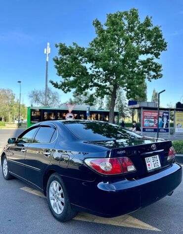 тойота vits: Toyota Windom: 2003 г., 3 л, Автомат, Бензин, Седан