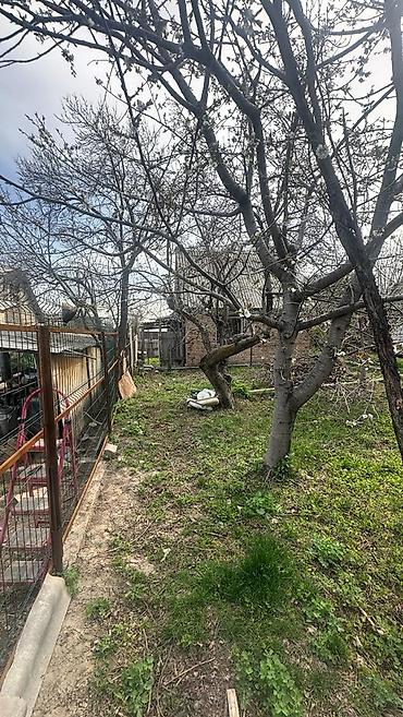 Продажа дач: 🌿 Продаётся уютная дача в Панораме (С/Т «Приборист») 📐 Участок: 5 — 7