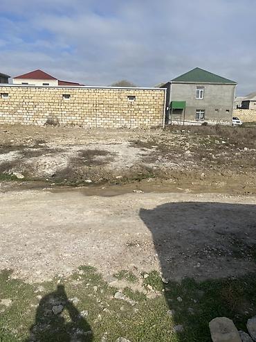 ha: 3 sot, Kənd təsərrüfatı, Kupça (Çıxarış) — 5