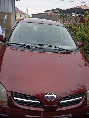 Nissan Almera Tino: 2003 г., 2 л, Вариатор, Бензин, Минивэн