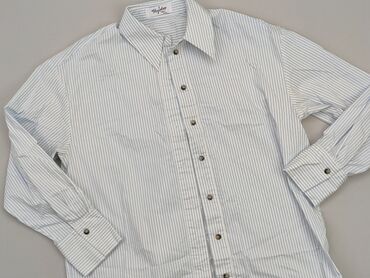 blekitna bluzki: Koszula Damska, M, stan - Idealny