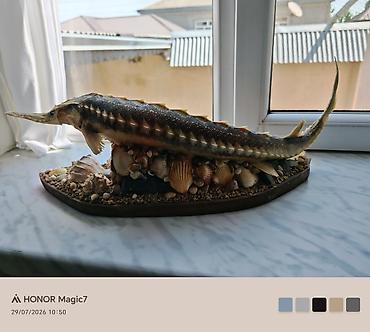 sederek oyuncaq mağazası: Suvenirlər — 3