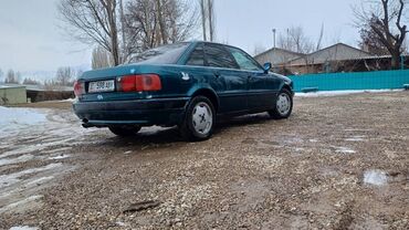 дерево ауди: Audi 80: 1992 г., 2 л, Механика, Бензин, Седан