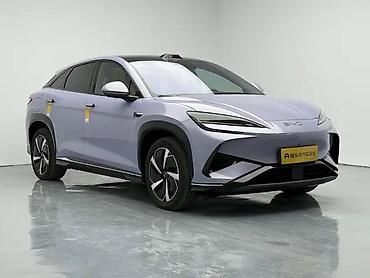 BYD: BYD Sea Lion 07: 2025 г., Кроссовер — 3