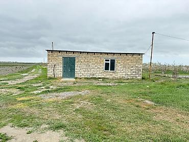 Torpaq sahələrinin satışı: 3000 sot — 14