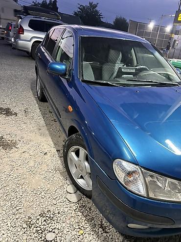 сетка грохот: Nissan Almera: 2001 г., 1.8 л, Автомат, Бензин, Седан — 2