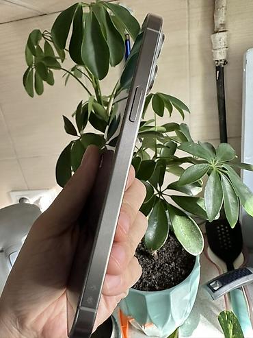 Apple iPhone: IPhone 15 Pro Max, Б/у, 256 ГБ, Natural Titanium, Чехол, Коробка, 88 % — 4