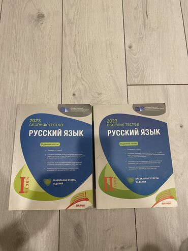 русский язык 4 класс методическое пособие: Русским язык в идеальном состоянии