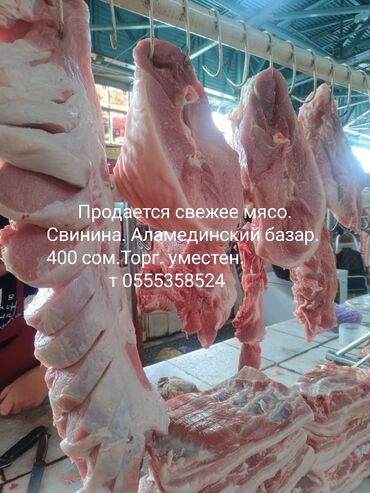 мясо доставка бишкек: Продается свежее мясо Свинина на Аламединском базаре Торг уместен