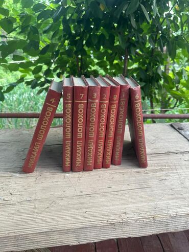 Художественная литература: Классика, На русском языке — 4