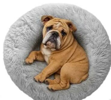 Yataqlar: Домики для животных — 10