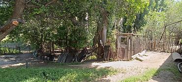 Продажа домов: Дом, 3500 м², 12 комнат, Старый ремонт — 18