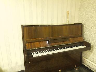 Музыкальные инструменты: Пианино акустическое, вертикальное (upright), корпус с отделкой под — 2