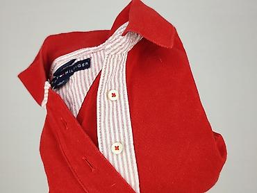 trampki harley davidson: Tommy Hilfiger, Damska koszulka polo, rozmiar L — 8
