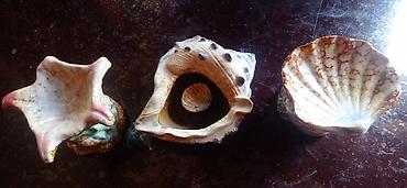 Heykəlciklər: Heykəlciklər — 14