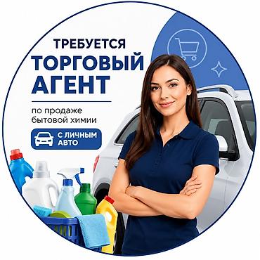 Требуется Торговый агент, График: Пятидневка, 1-2 года опыта, Карьерный рост, Полный рабочий день