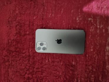 стегальная машина: IPhone 12 Pro, Графит