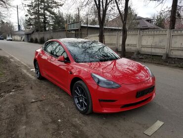 теслу: Tesla Model 3: 2021 г., 0.5 л, Автомат, Электромобиль, Седан