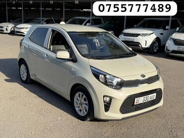 электромобиль в рассрочку в бишкеке: Kia Morning: 2018 г., 1 л, Автомат, Бензин, Хэтчбэк