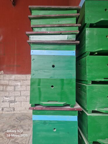 Arı yeşikləri: Ari Yenşikləri satilir 2mərtəbə 10ramka 23sm 90azn 1mərtəbə 60azn — 5