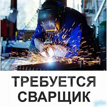 ТТС, унаа бизнеси: Жумушчу керек, Төлөм: Күнүмдүк — 1