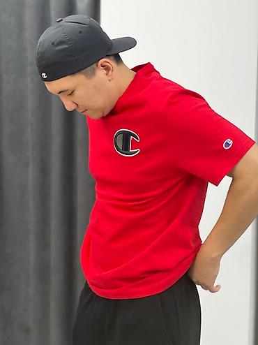 Футболки: Мужская футболка, L, Champion, Новый, Самовывоз — 11