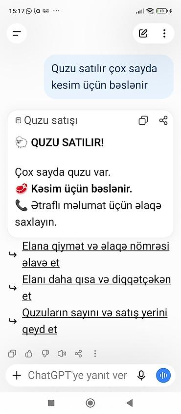 et satisi: Qoyun, quzu və əmblik satılır! Təbii kənd məhsulları — keyfiyyətli və — 2
