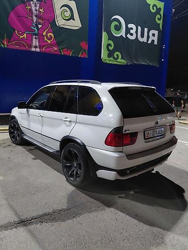 вдоль реки: BMW X5: 2005 г., 4.8 л, Автомат, Бензин, Кроссовер — 1