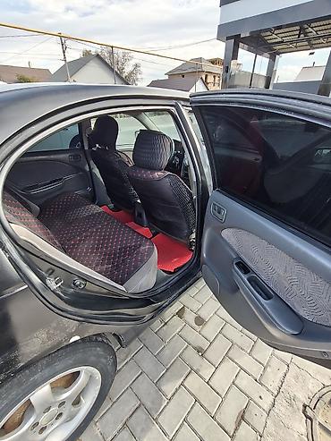 решетка радиатора тойота опа: Toyota Avensis: 1999 г., 1.8 л, Механика, Бензин, Седан — 10