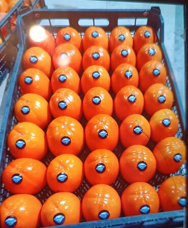 Ağaclar: Yalnız bizim təsərfatimizda bölgələrə uyğun olaraq ağacların kok — 24