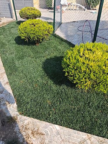 sxem: Canlı rulon qazon və landşaft abadlaşdırma xidməti - Rulon qazon — 2