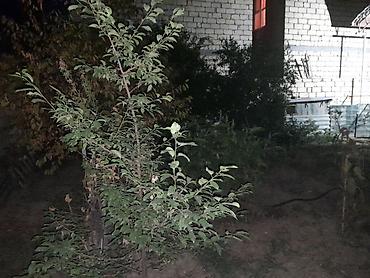 Həyət evləri və villaların satışı: 3 otaqlı, 110 kv. m, Kredit yoxdur — 5