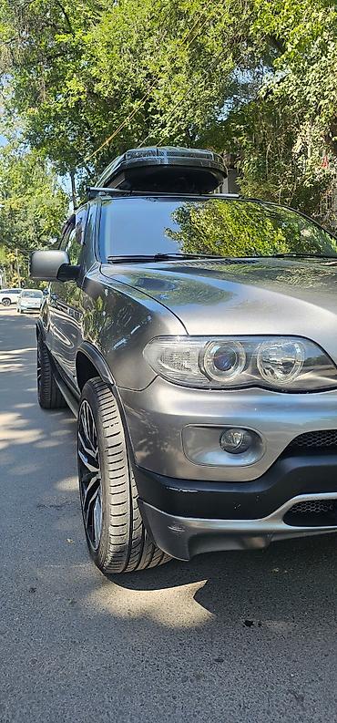 BMW: BMW X5: 2004 г., 4.4 л, Автомат, Бензин, Кроссовер — 11