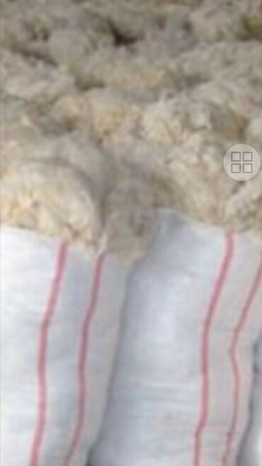 Yun: Yun satişi satışda yuyulmuş şamaxı yunu var qiymətlər keyfiyyətə — 3