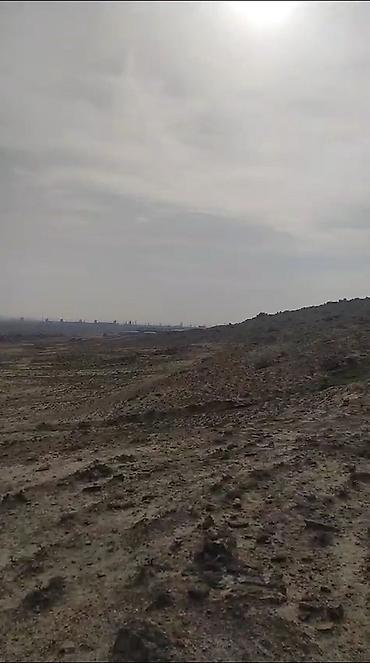 Torpaq: 80 sot, Tikinti, Mülkiyyətçi, Kupça (Çıxarış) — 6