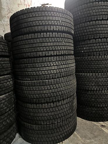 Шины: Шины 265 / 70 / R 19.5, Зима, Новый, Грузовики/Автобусы, Япония, Toyo — 1