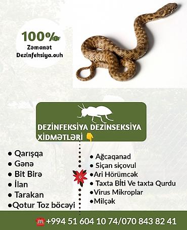 hamster kafesi: Dermanlama Zemanetli dezinfeksiya xidmeti dezinfeksiya xidməti — 3