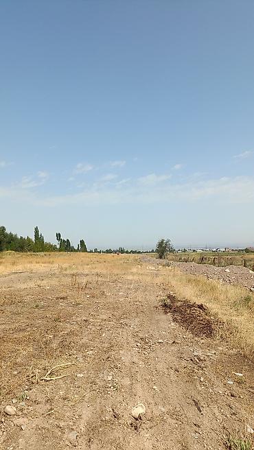 Продажа участков: 5 соток, Для строительства — 12