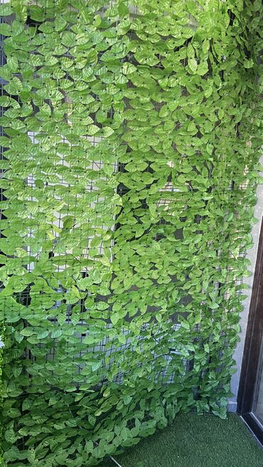 Digər ev dekoru: Kv 25 azn baslayan yasil dekorlar
Her olcude hazrlanr 
Depodan satis — 27