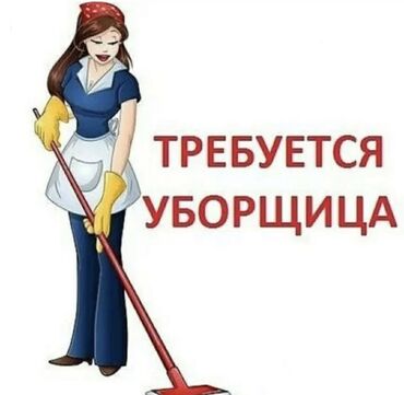 начальник охраны: Талап кылынат Тазалоочу, Офис