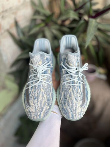 купить зимние кроссовки в бишкеке: Мужские кроссовки, 43, Adidas, Новый, Самовывоз