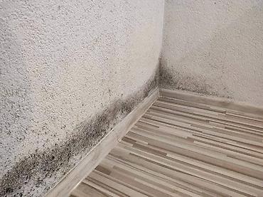 Kućna hemija i proizvodi za kuću: Limes – domaća sredstva za čišćenje i negu - Limes Sjaj Abraziv (600 — 50