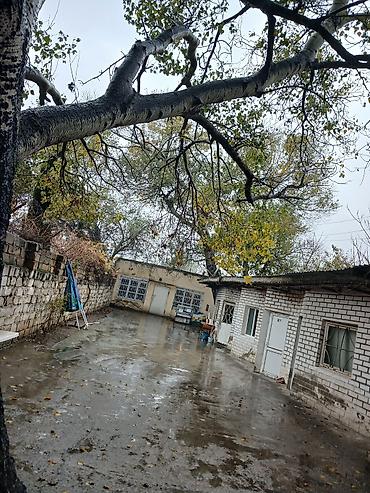 kristal abseron sumqayit kiraye evler: Obyekt bineqedi sentralni merkezdedir 7 sotun icersinde 155 kv — 6