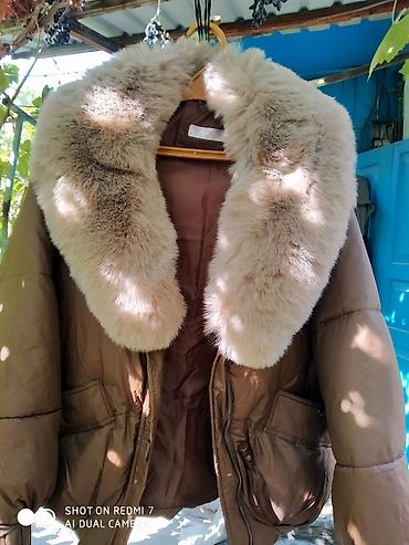 одежда для покрытых: Пуховик, Короткая модель, Корея, С мехом, 3XL — 1