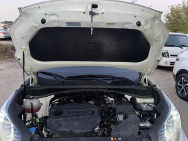 Kia: Kia Sportage: 2021 г., Бензин, Кроссовер — 10