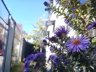 Ремонт под ключ: Ремонт частного дома. Фото работ #заборы Бишкек #установка — 8