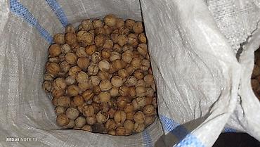 Продукты питания: Продаю грецкие орехи — 2
