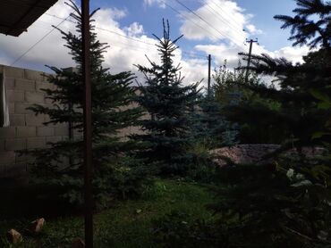 Продажа домов: Дом, 69 м², 5 комнат, Собственник — 8