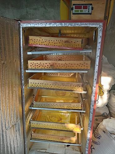inkubator cuceleri: Real alıcıya endirim olacaq tecili satılır 600 deneli inqibatur — 4